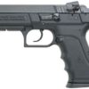 Magnum Research Baby Desert Eagle II 9mm Semi-Compact Pistol 1 19